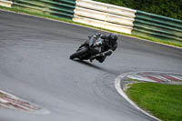 Evening Low_Mid Group Black Bikes